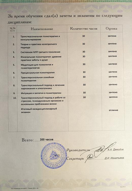 Приложение 2 к диплому МИП
